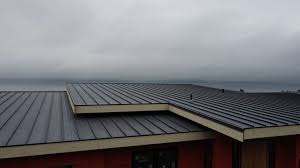 Steel Roofing in Georgetown, IN